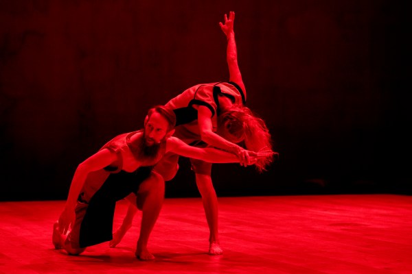 Images by Camila Greenwell